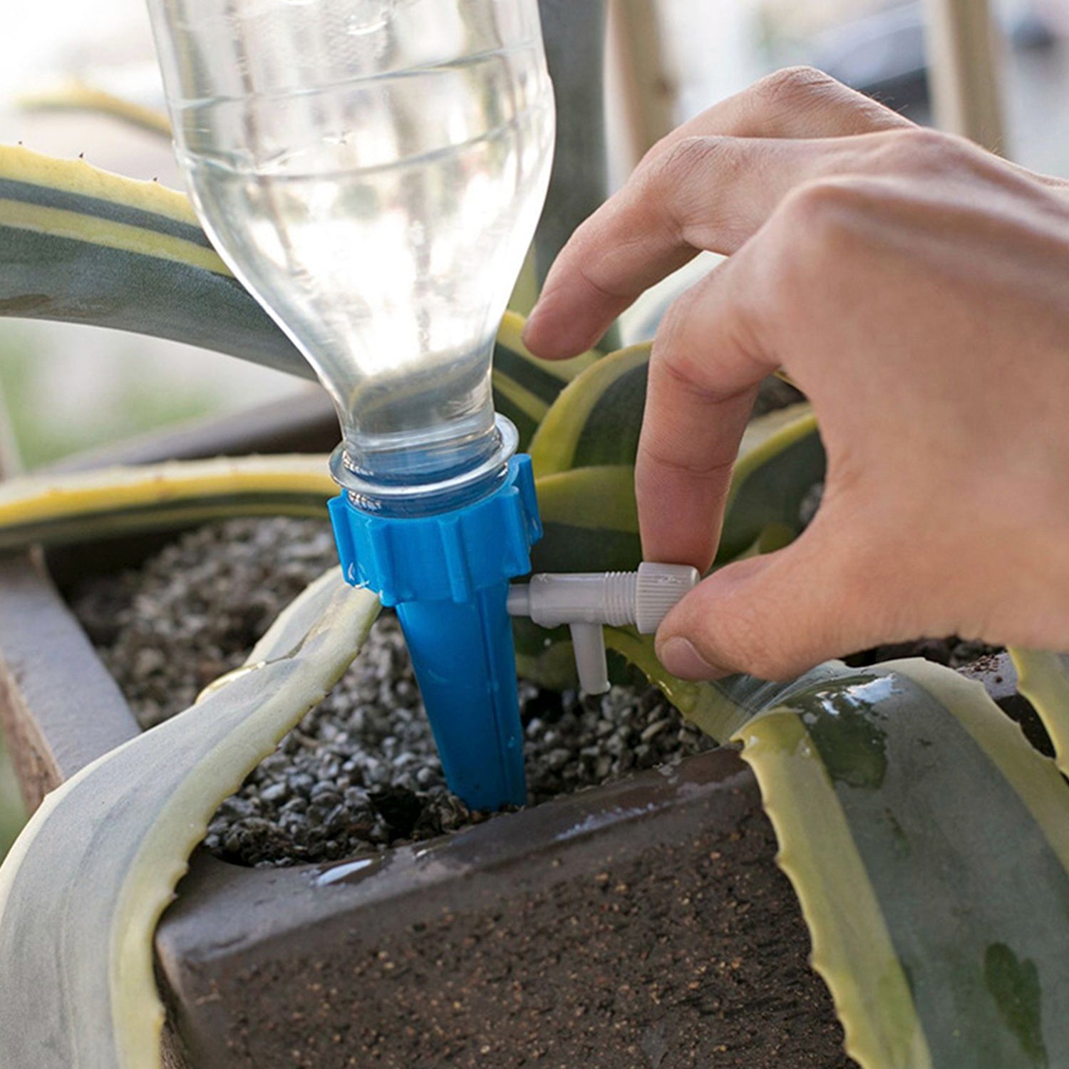 Plant Watering Spikes Self Watering Devices Automatic Plant Waterer With Slow Release Control Valve For Outdoor Indoor Plant